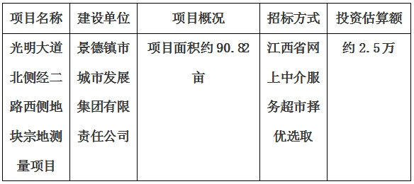 景德鎮(zhèn)市光明大道北側經(jīng)二路西側地塊宗地測量項目計劃公告