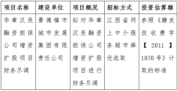 華章漢辰融資擔(dān)保公司增資擴(kuò)股項目財務(wù)盡調(diào)計劃公告