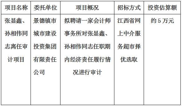 張顯鑫、孫相偉同志離任審計項目計劃公告