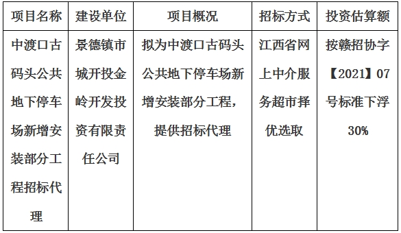 中渡口古碼頭公共地下停車(chē)場(chǎng)新增安裝部分工程招標(biāo)代理計(jì)劃公告