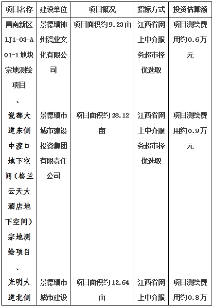 景德鎮(zhèn)市昌南新區(qū)LJ1-03-A01-1地塊、瓷都大道東側(cè)中渡口地下空間（格蘭云天大酒店地下空間）、光明大道北側(cè)利民路西側(cè)地下空間（青少年宮地下空間）、規(guī)劃二路北側(cè)地下空間地塊二（加速基地地下空間）、規(guī)劃二路北側(cè)地下空間地塊一（加速基地地下空間）、景德大道南側(cè)天寶橋西側(cè)地塊、景興大道東側(cè)如意路北側(cè)地下空間(社會(huì)公共服務(wù)